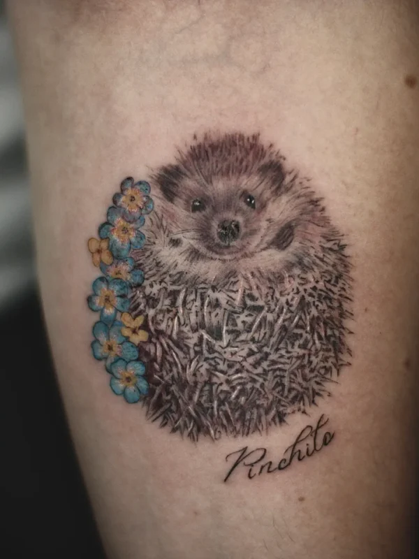 Tatuaje erizo realista (estilo microrealista) en el antebrazo