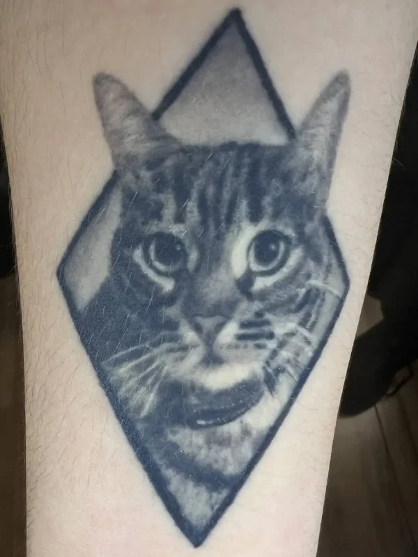 Tatuaje gato con triángulo (estilo microrealista) en el antebrazo