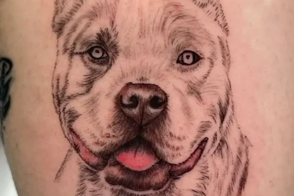 Tatuaje perro Terrier (Norfolk/Border, estilo microrealista) en el brazo