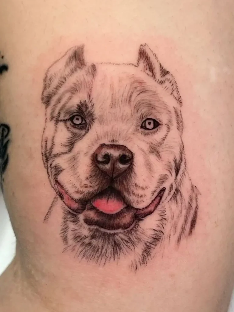 Tattoo-Malaga-Diavel-Tatuajes-Micro-relistas-23 Tatuaje perro Terrier (Norfolk/Border, estilo microrealista) en el brazo